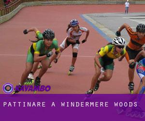 Pattinare a Windermere Woods