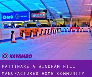 Pattinare a Windham Hill Manufactured Home Community