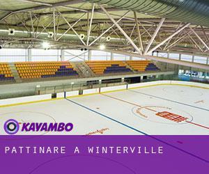 Pattinare a Winterville Pattinare a Winterville