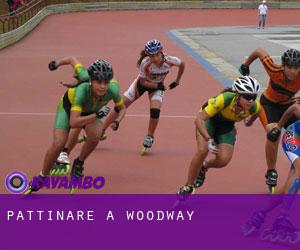 Pattinare a Woodway