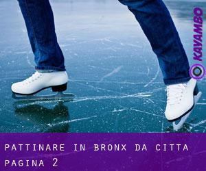 Pattinare in Bronx da città - pagina 2