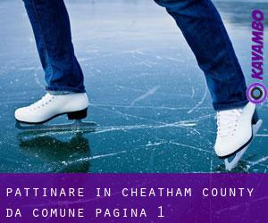 Pattinare in Cheatham County da comune - pagina 1