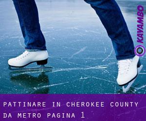 Pattinare in Cherokee County da metro - pagina 1
