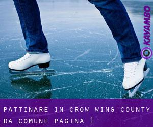Pattinare in Crow Wing County da comune - pagina 1