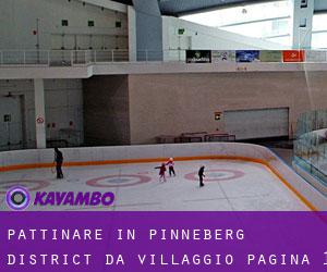 Pattinare in Pinneberg District da villaggio - pagina 1