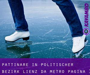 Pattinare in Politischer Bezirk Lienz da metro - pagina 1