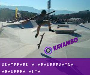 Skatepark a Abaurregaina / Abaurrea Alta