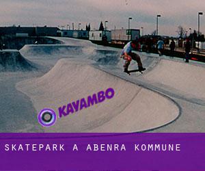Skatepark a Åbenrå Kommune