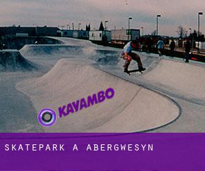 Skatepark a Abergwesyn