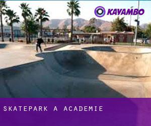 Skatepark a Academie