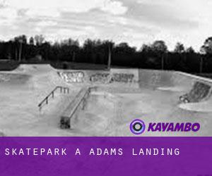 Skatepark a Adams Landing