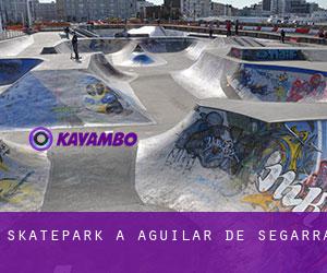 Skatepark a Aguilar de Segarra