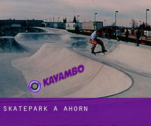 Skatepark a Ahorn