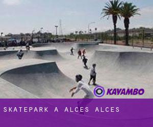 Skatepark a Alces alces