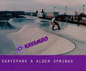 Skatepark a Alder Springs