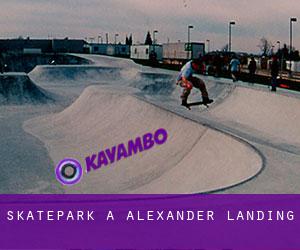 Skatepark a Alexander Landing