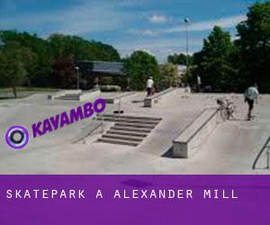 Skatepark a Alexander Mill