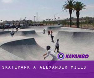 Skatepark a Alexander Mills