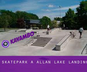 Skatepark a Allan Lake Landing