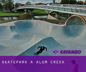 Skatepark a Alum Creek