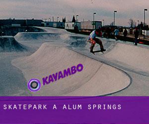 Skatepark a Alum Springs
