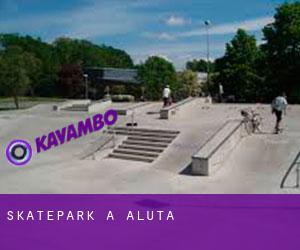 Skatepark a Aluta