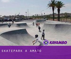 Skatepark a Amato