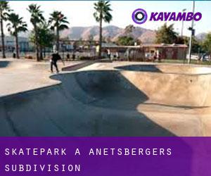 Skatepark a Anetsberger's Subdivision