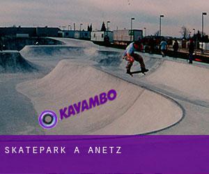 Skatepark a Anetz