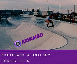 Skatepark a Anthony Subdivision
