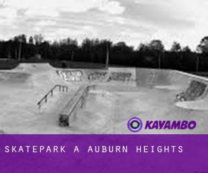 Skatepark a Auburn Heights