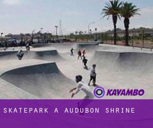 Skatepark a Audubon Shrine