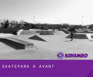 Skatepark a Avant