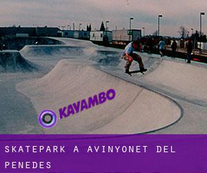 Skatepark a Avinyonet del Penedès