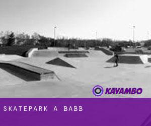 Skatepark a Babb