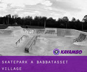 Skatepark a Babbatasset Village
