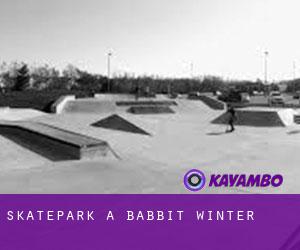 Skatepark a Babbit Winter
