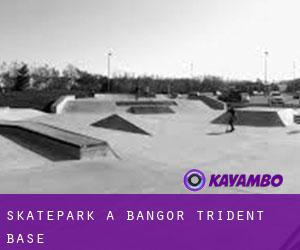 Skatepark a Bangor Trident Base