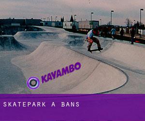 Skatepark a Bans