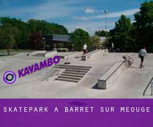 Skatepark a Barret-sur-Méouge