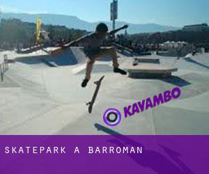 Skatepark a Barromán