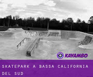 Skatepark a Bassa California del Sud