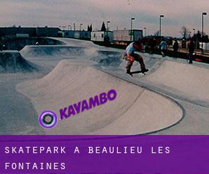 Skatepark a Beaulieu-les-Fontaines
