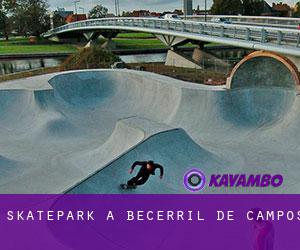Skatepark a Becerril de Campos