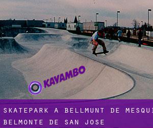 Skatepark a Bellmunt de Mesquí / Belmonte de San José