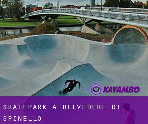 Skatepark a Belvedere di Spinello