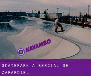Skatepark a Bercial de Zapardiel