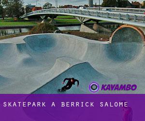 Skatepark a Berrick Salome