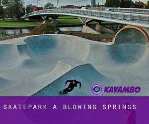 Skatepark a Blowing Springs
