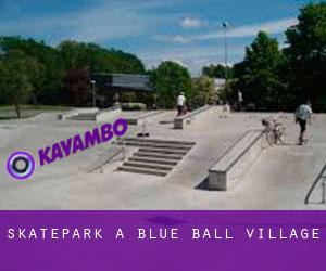 Skatepark a Blue Ball Village
